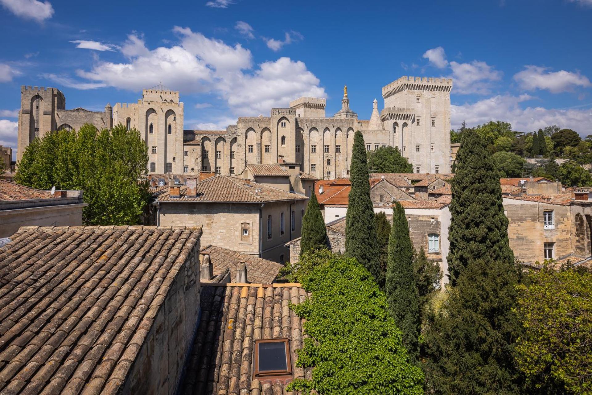 Intra-muros, Vue Palais Des Papes Appartement *