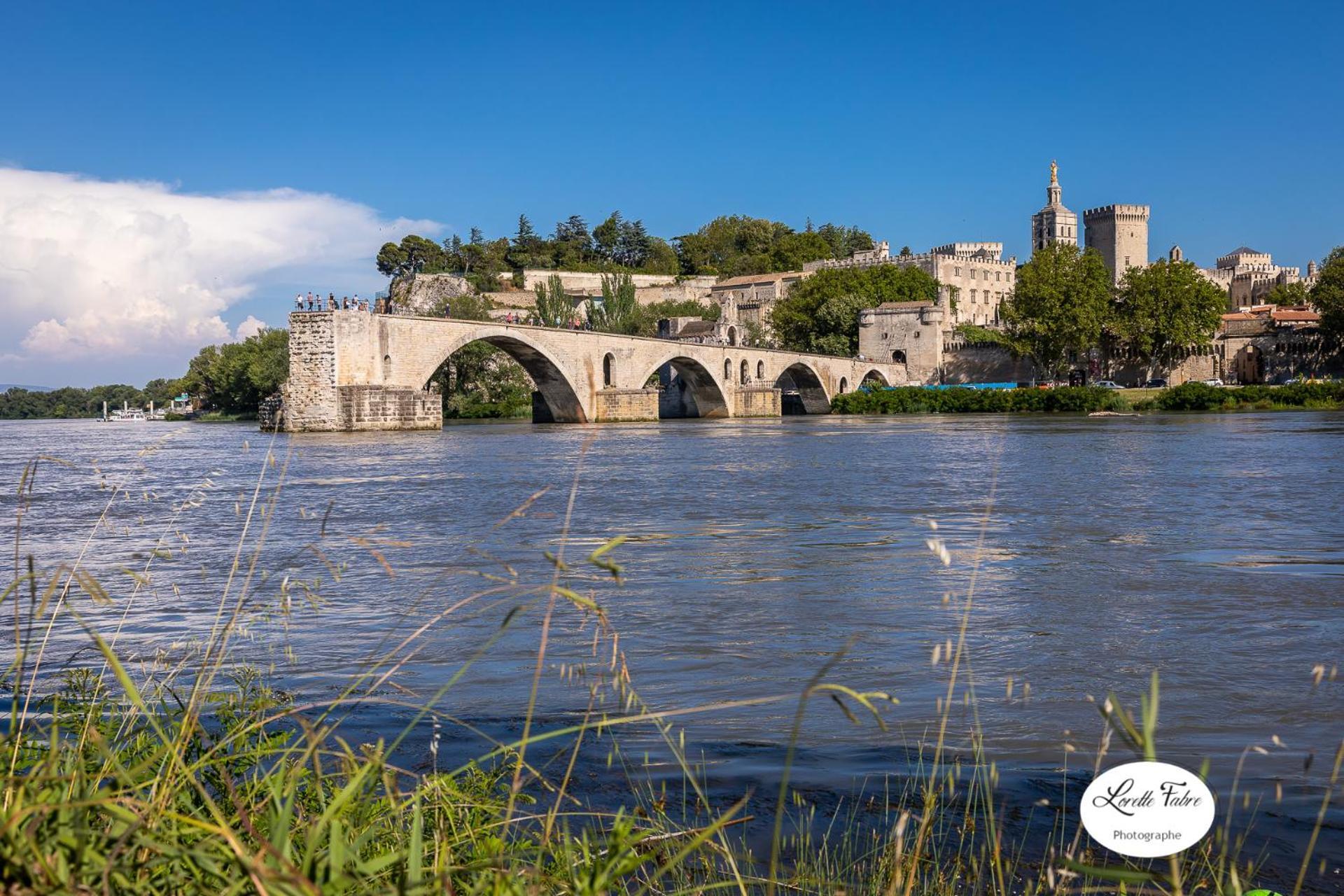 Intra-muros, Vue Palais Des Papes * Avignon
