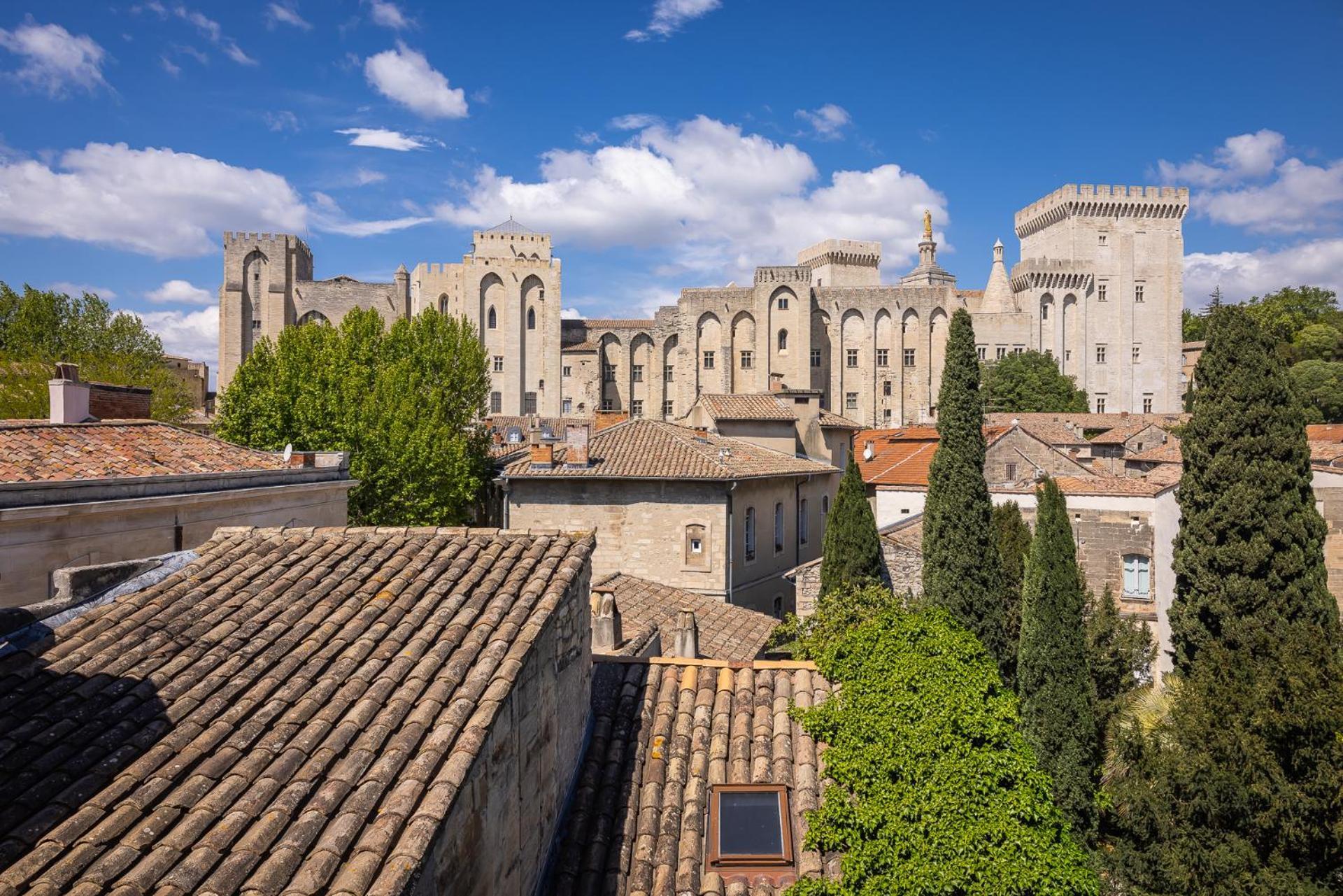 Intra-muros, Vue Palais Des Papes Avignon