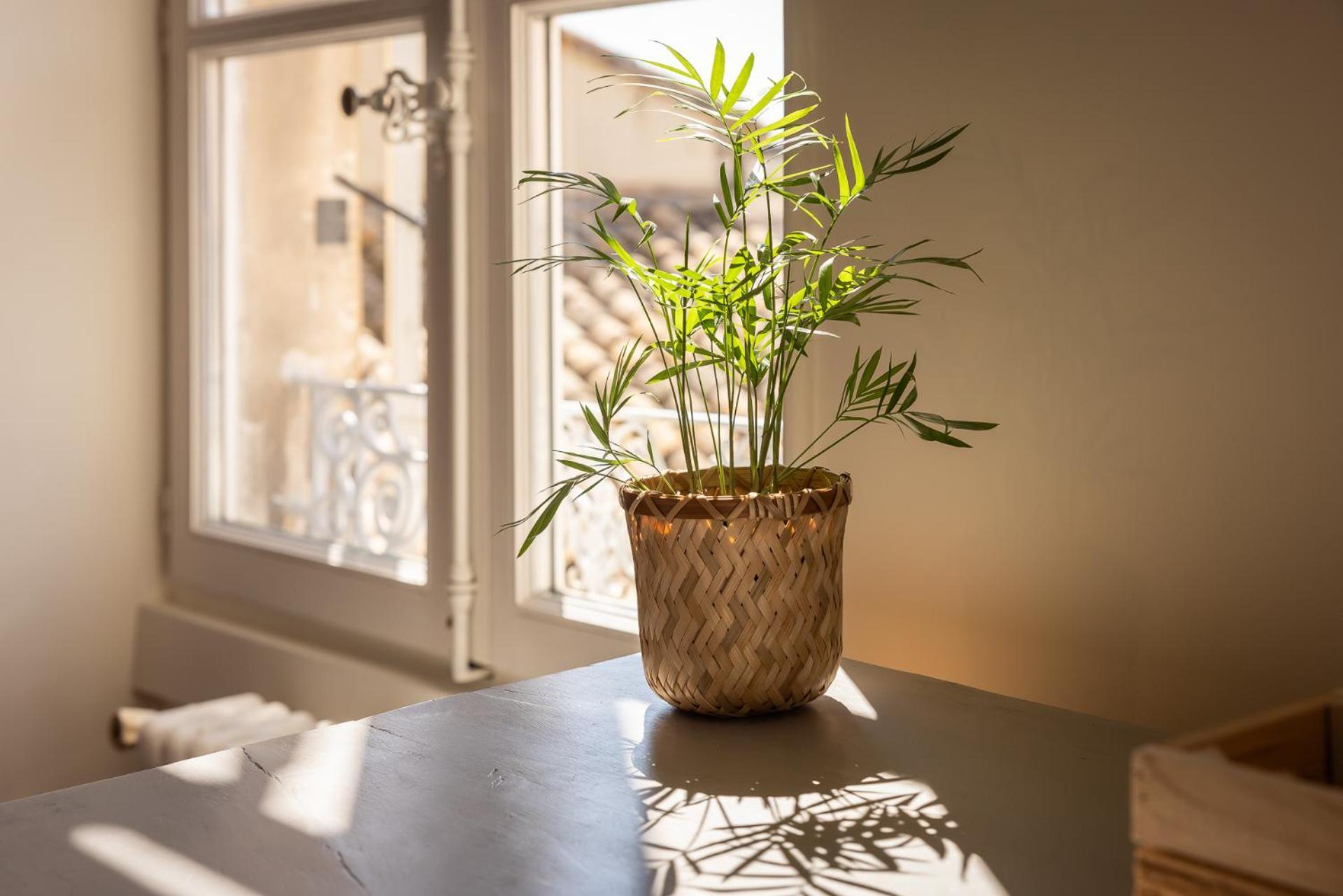 Apartment Intra-muros, Vue Palais Des Papes